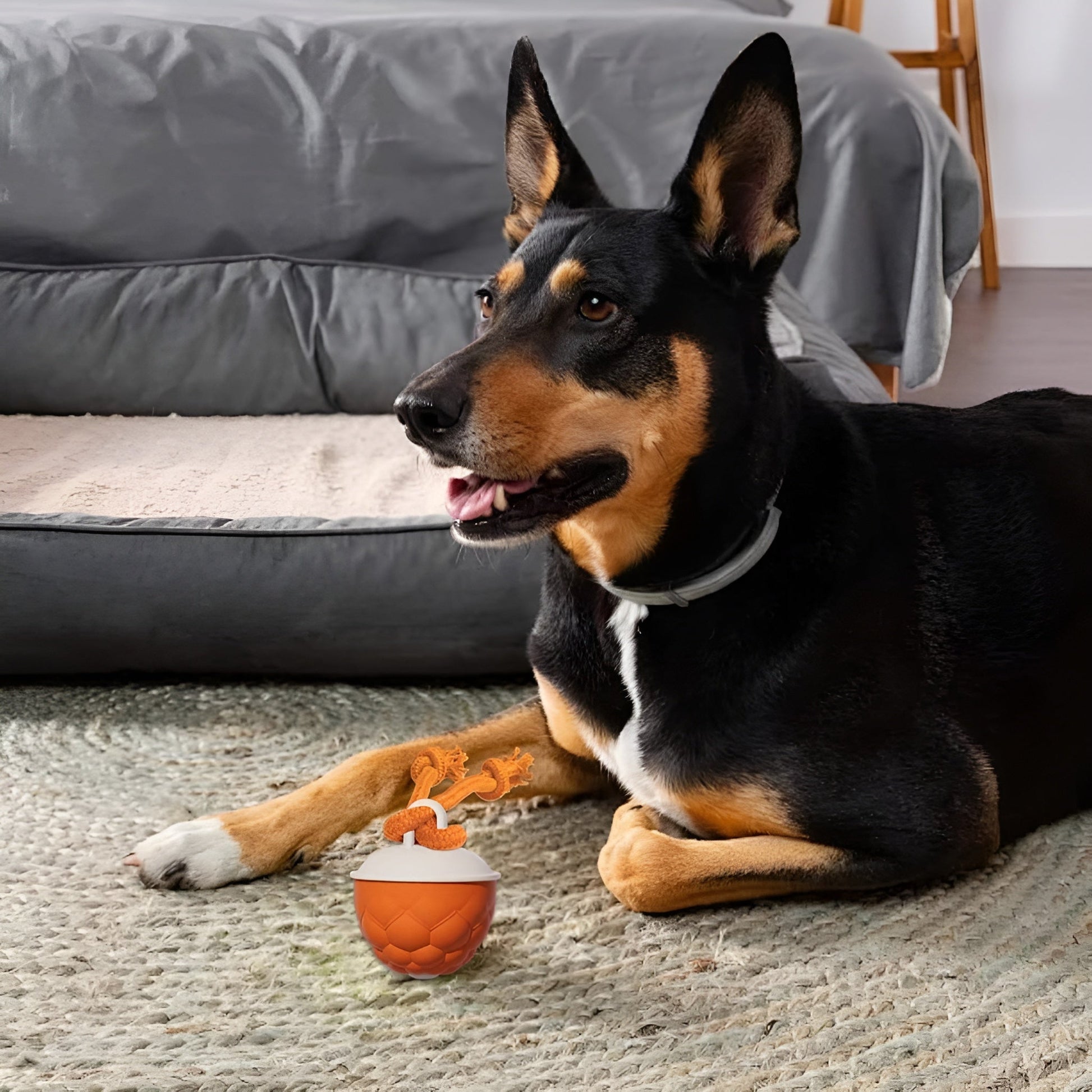 DogFri™ SmartBall: Interaktiv Hindring-Unngåelse Oppladbar Trenings Smart Ball