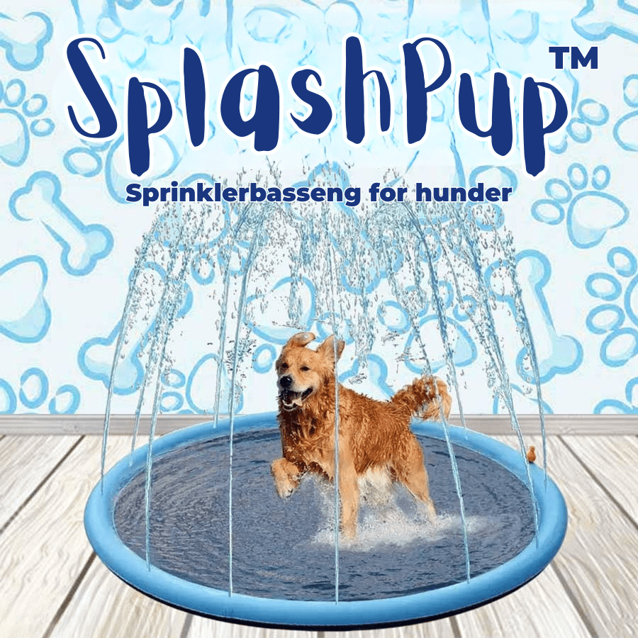 SplashPup™ – Sprinklerbasseng for hunder - NordHjem