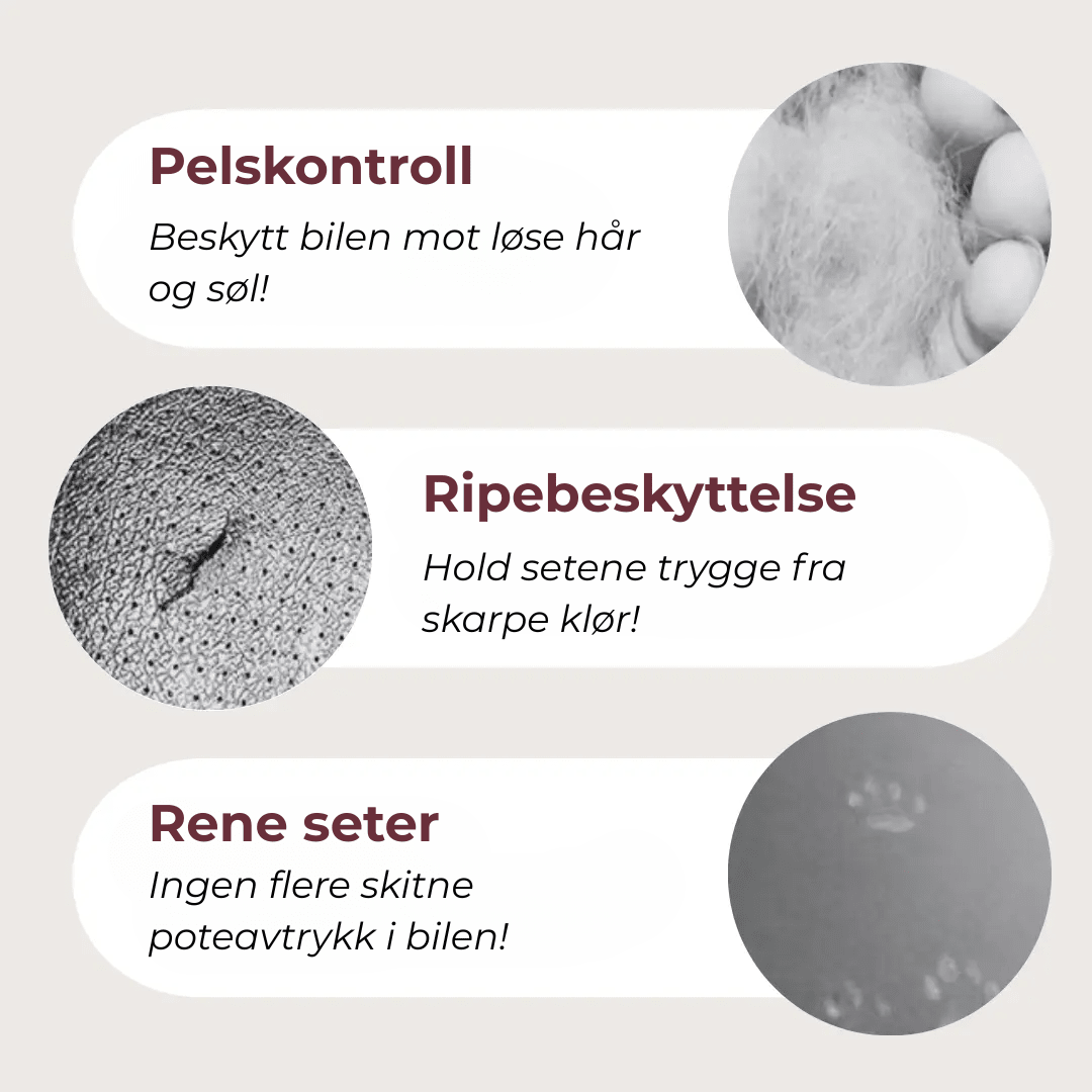 PurrfectRide™ Car Seat – Luftig komfort for små og mellomstore kjæledyr - NordHjem