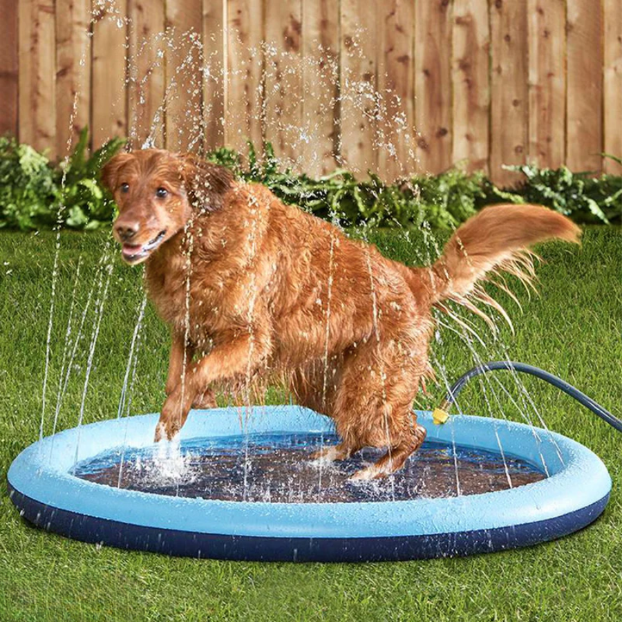 SplashPup™ – Sprinklerbasseng for hunder - NordHjem