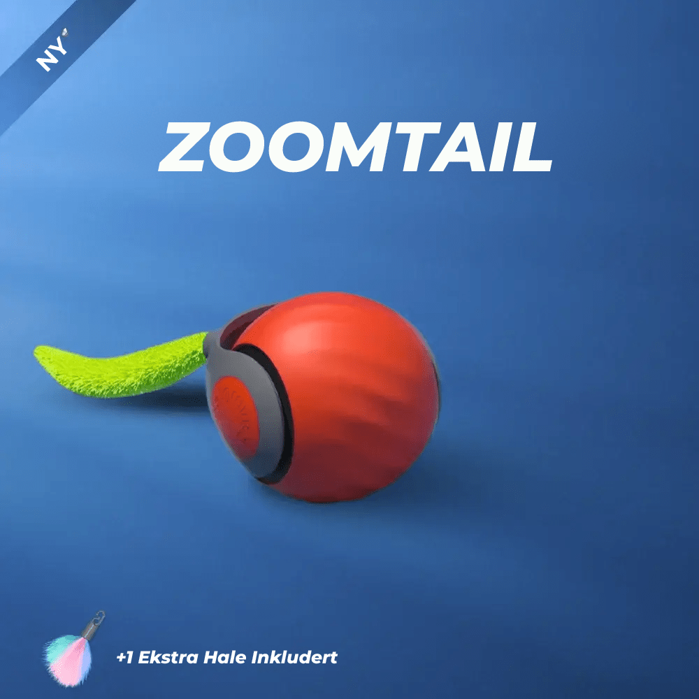 ZoomTail | Interaktivt katteleketøy - NordHjem
