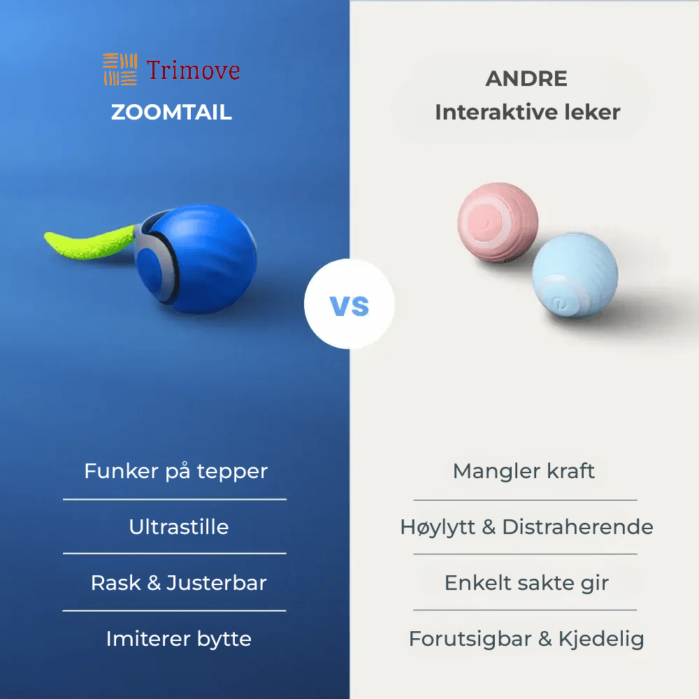 ZoomTail | Interaktivt katteleketøy - NordHjem