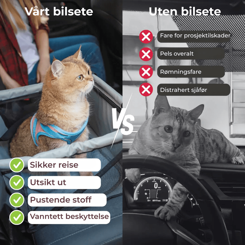 PurrfectRide™ Car Seat – Luftig komfort for små og mellomstore kjæledyr - NordHjem