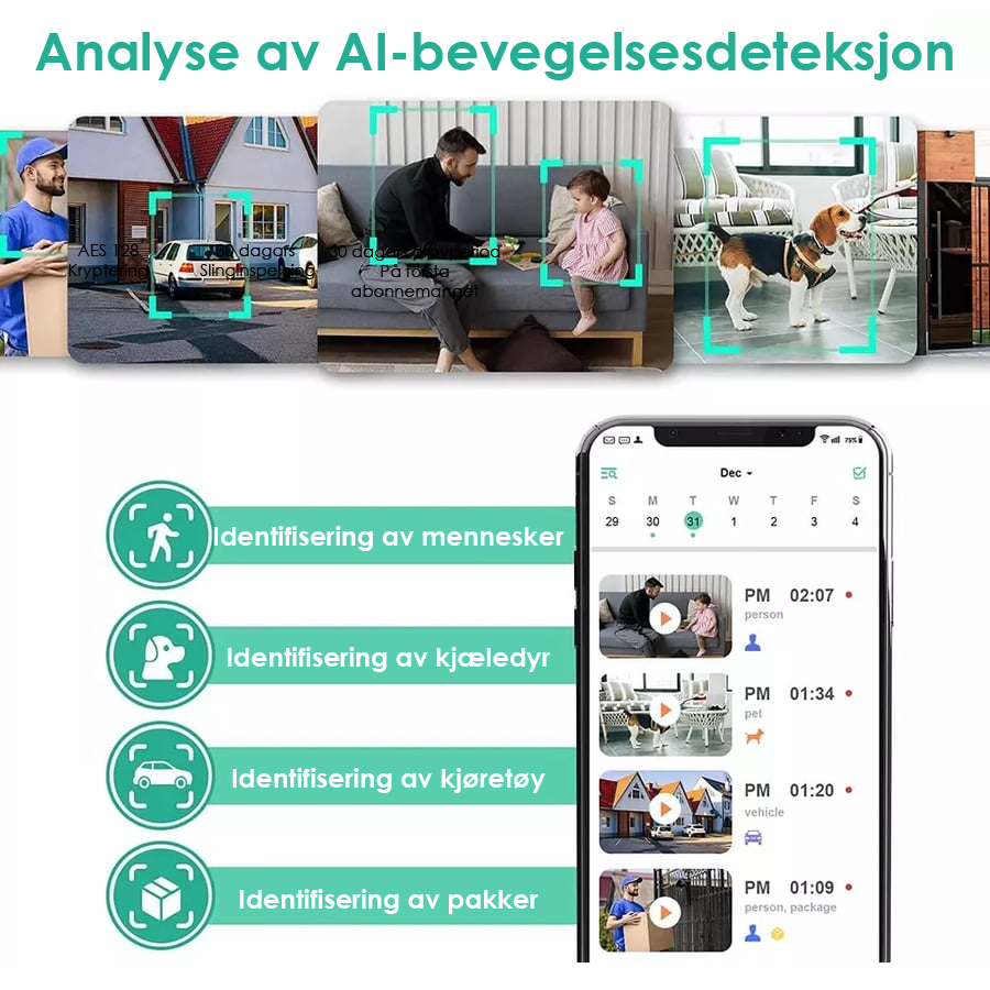 1080P trådløst sikkerhetskamera
