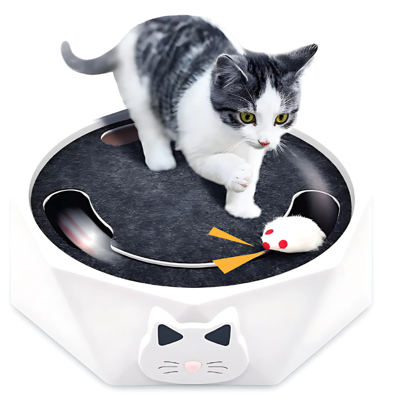 Catfri® MouseHunting - Interaktiv Kloring Mus Jakting Leke For Katter