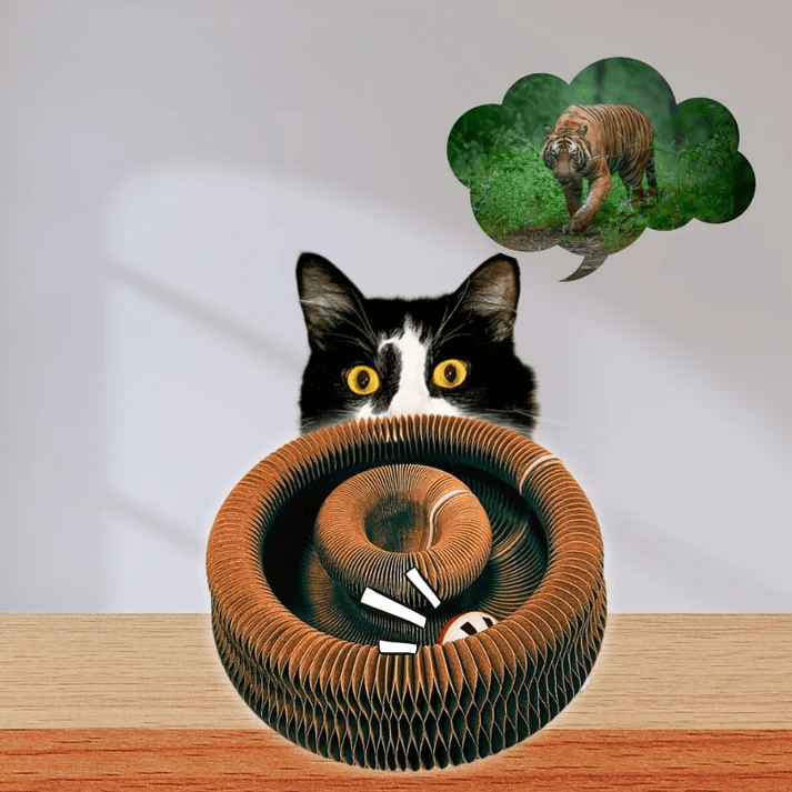 Catventure Toy - NordHjem