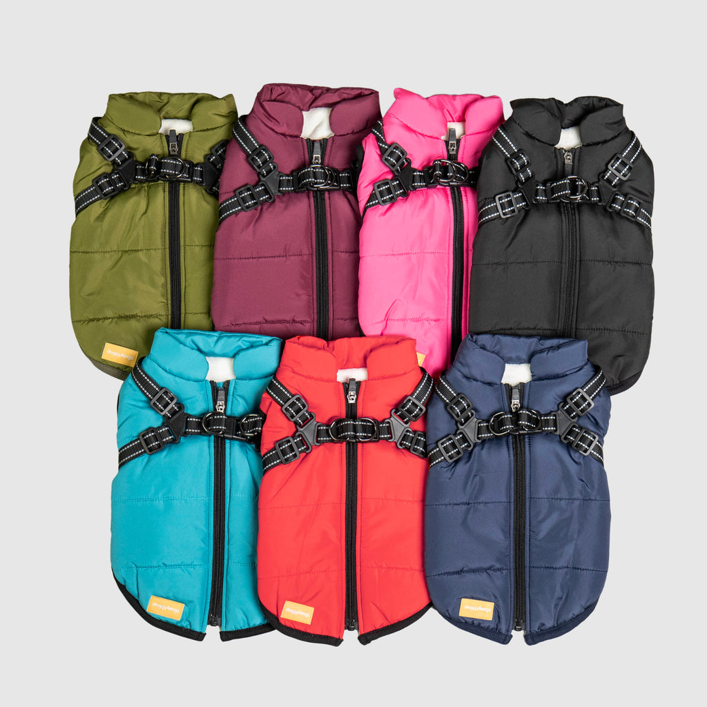 PawfectGuard™ 3 - i - 1 Hundejakke – Ultimat Beskyttelse, Stil & Komfort! - NordHjem