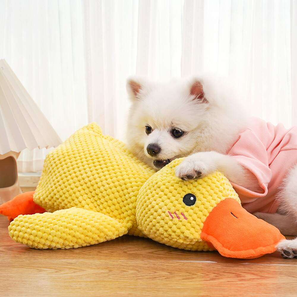 SnuggleQuack – Beroligende Lyder for en Stressfri Hund - NordHjem