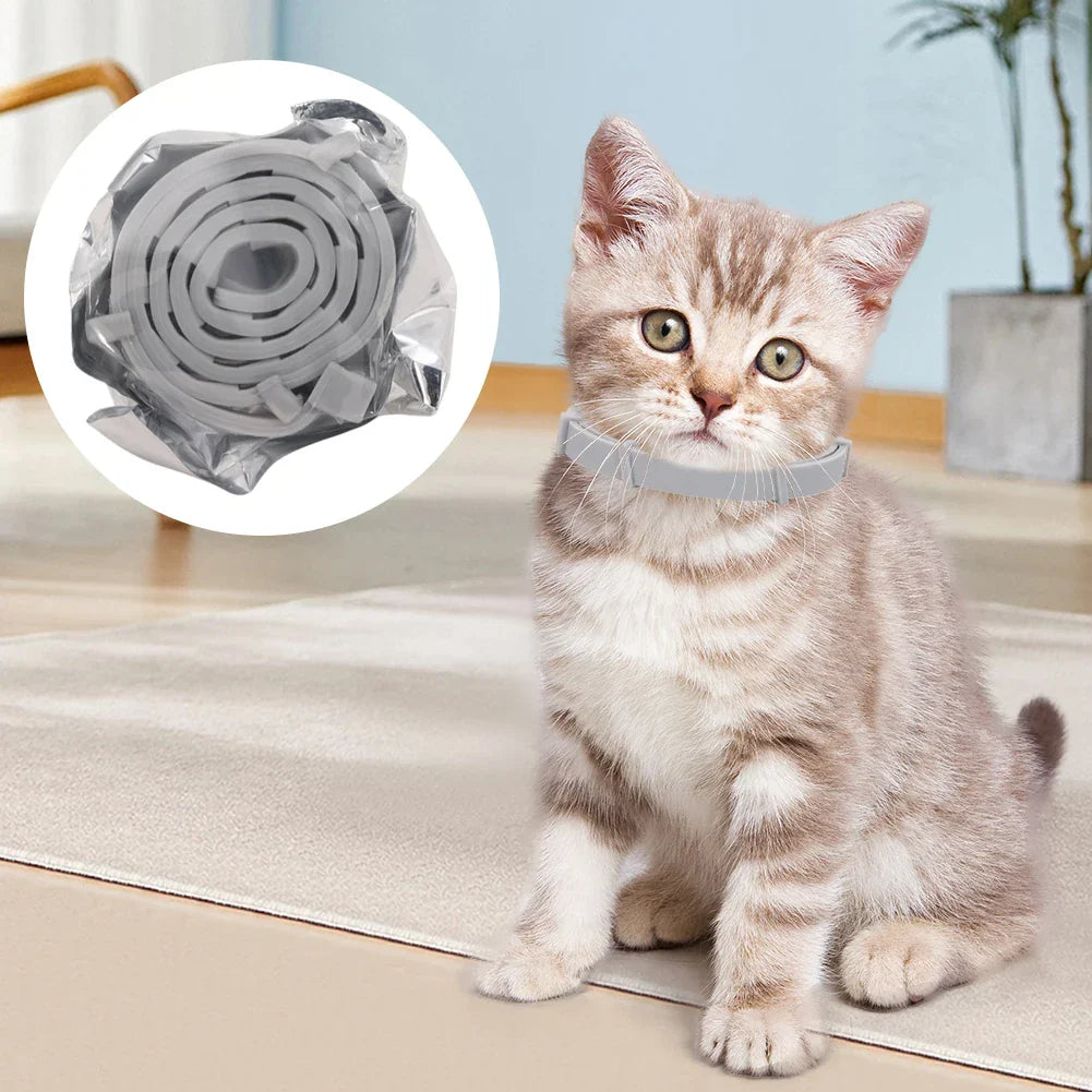 DogCatFri™ PetCollar 1+1 GRATIS - Justerbar Insektmiddel Hundehalsbånd