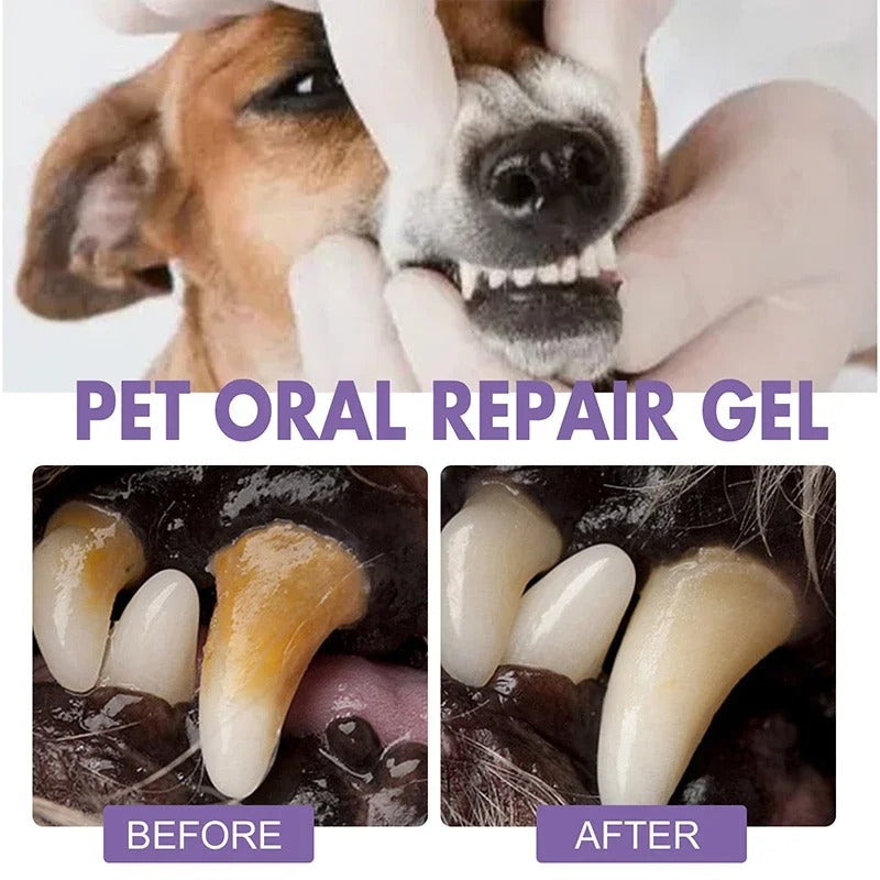 DogCatFri™  DentalPet: Kjæledyr Dental Reparasjon Og Rengjøring Gel