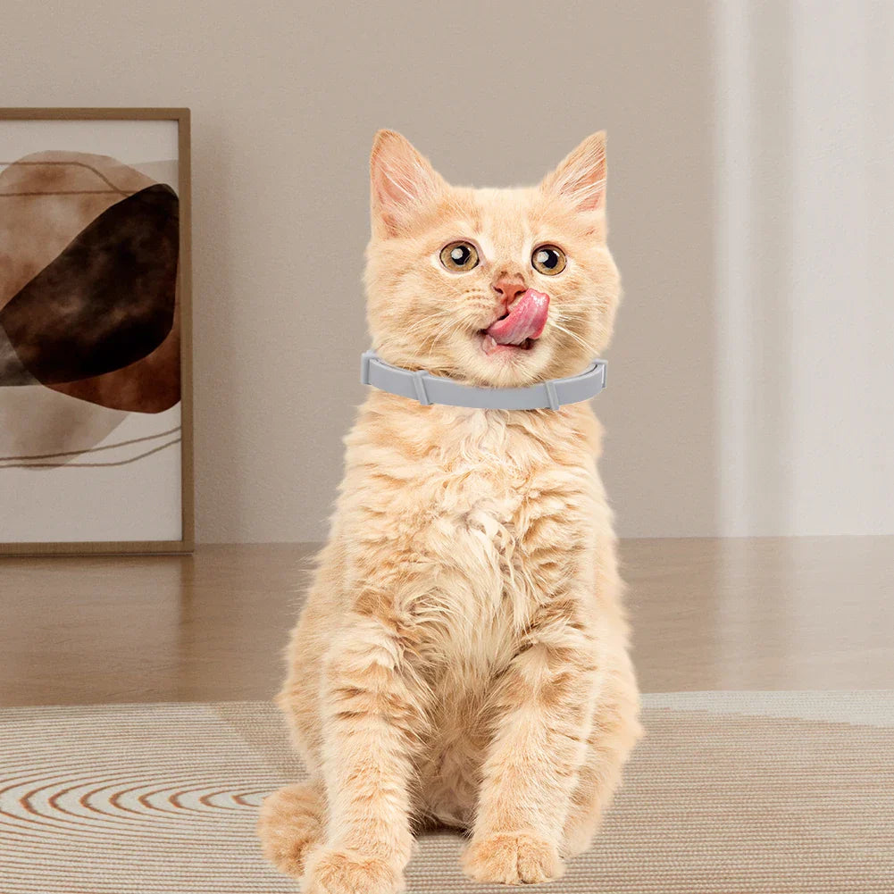DogCatFri™ PetCollar 1+1 GRATIS - Justerbar Insektmiddel Hundehalsbånd