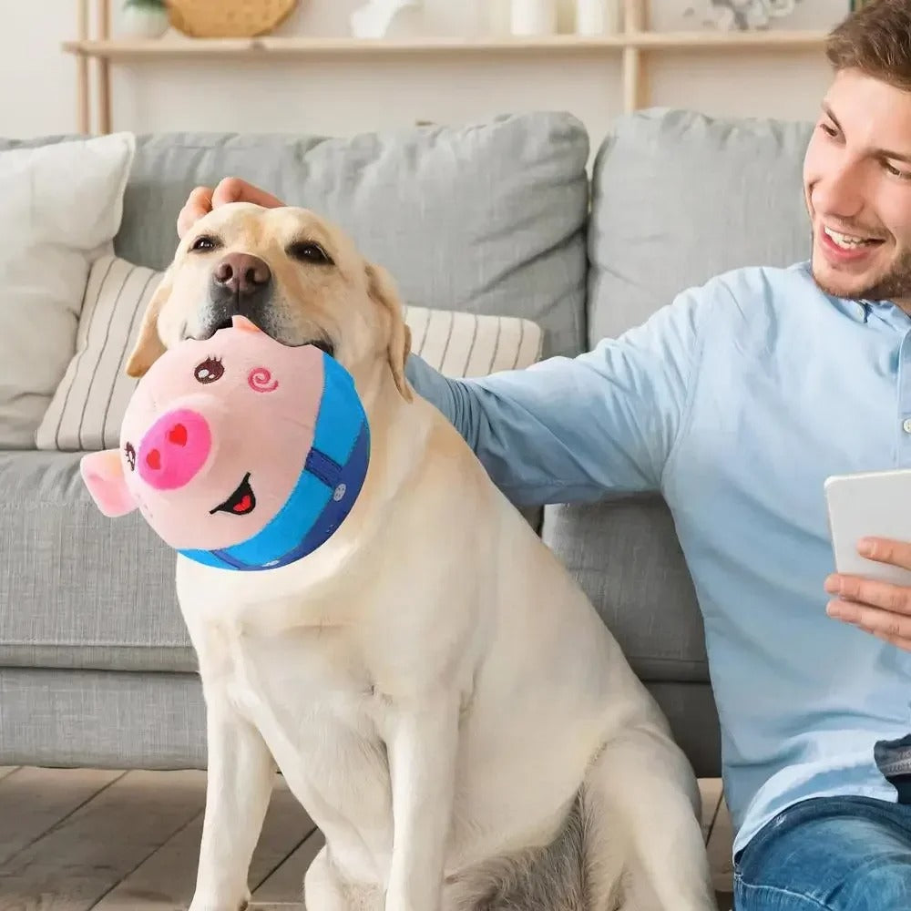 DogCatFri™ BouncingToy: Interaktiv Kjæledyr Sprettende Plysj Leketøy Ball