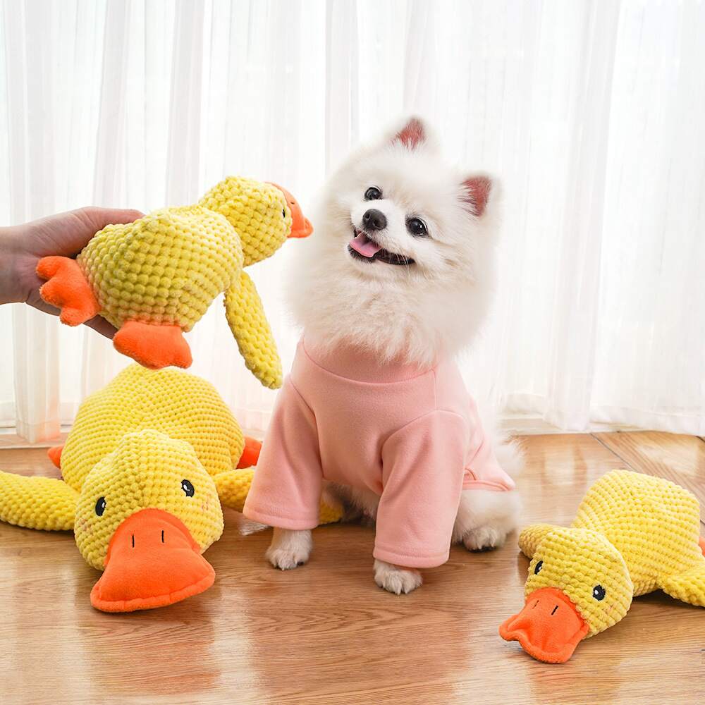 SnuggleQuack – Beroligende Lyder for en Stressfri Hund - NordHjem