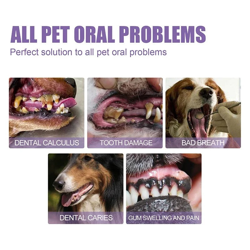 DogCatFri™  DentalPet: Kjæledyr Dental Reparasjon Og Rengjøring Gel