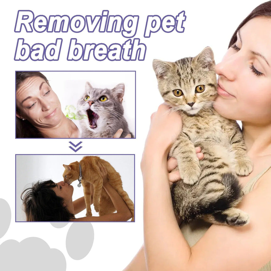 DogCatFri™  DentalPet: Kjæledyr Dental Reparasjon Og Rengjøring Gel