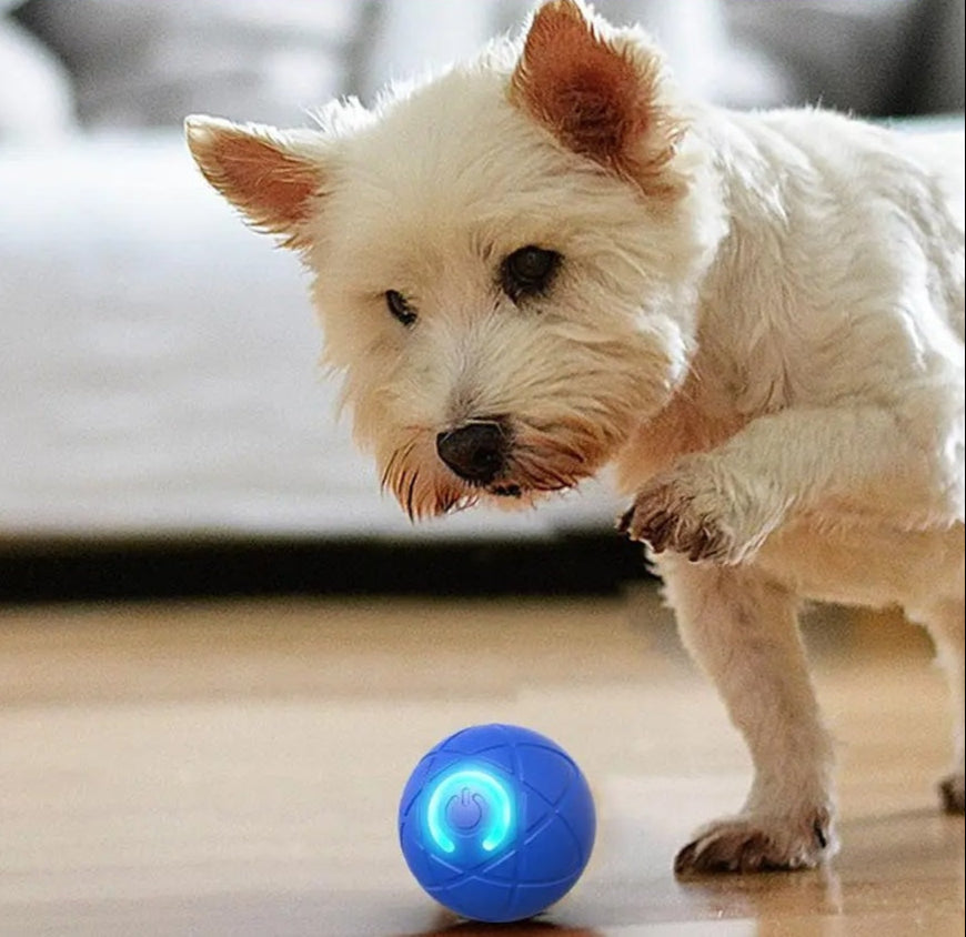 DogCatFri™ InteractiveBall: Oppladbar Interaktiv Kjæledyr Leketøy Ball
