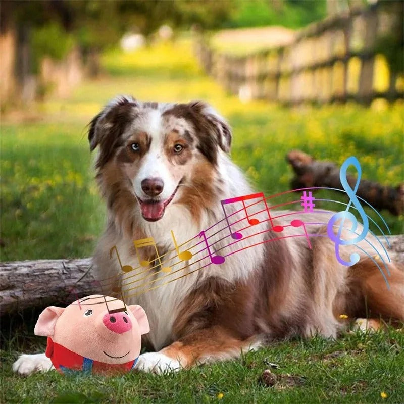 DogCatFri™ BouncingToy: Interaktiv Kjæledyr Sprettende Plysj Leketøy Ball