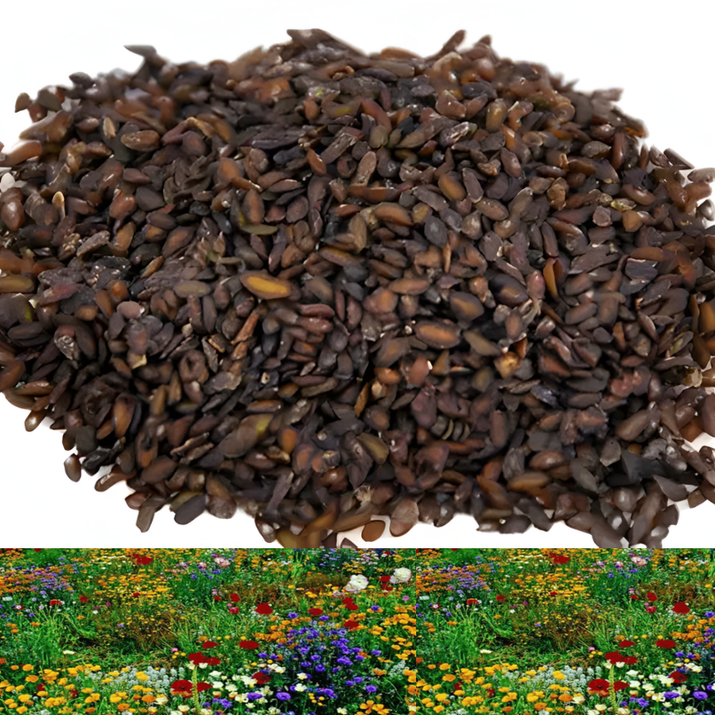 GardenSeeds - Enkle Å Dyrke Blandet Blomsterhage Varieteter Fargerike Blomsterfrø
