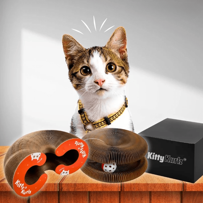 Catventure Toy - NordHjem