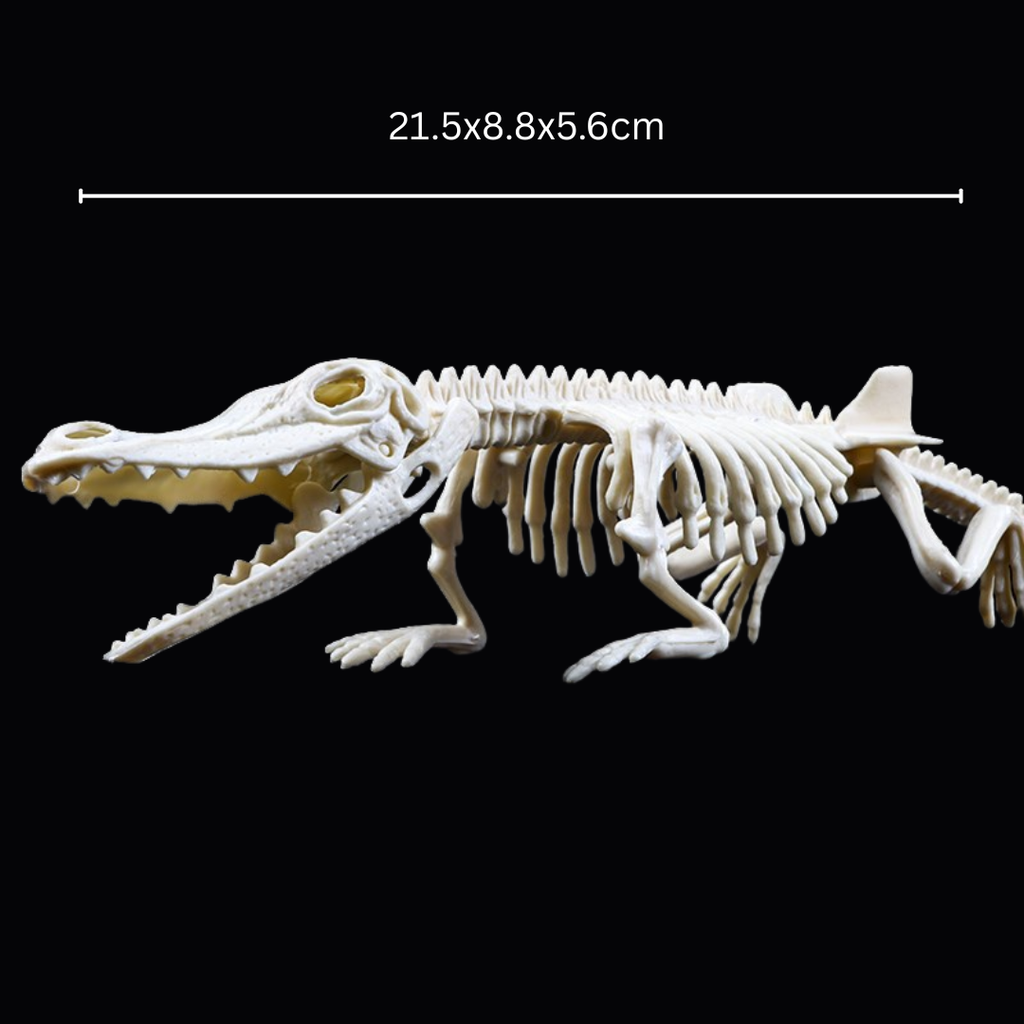 Kletshuts™ SkeletonDinosaur: Lærerikt Skjelett Dinosaur Fossil Grav Sett