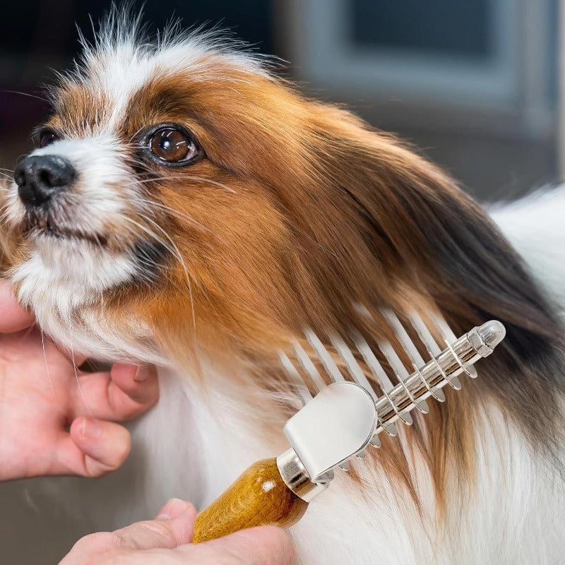 DogCatFri™ DemattingComb 1+1 GRATIS: Kjæledyr Serrated Dematting Rake Kam