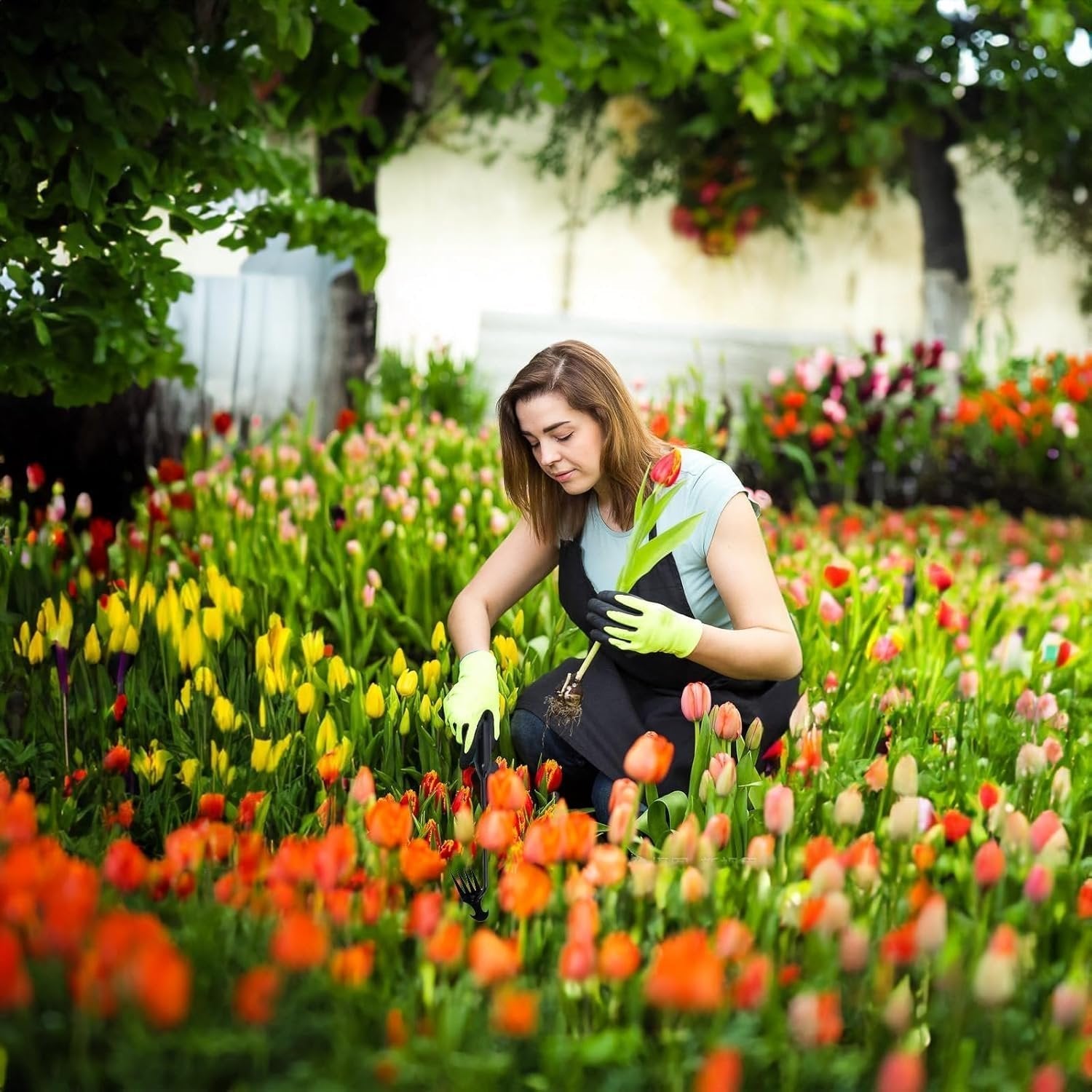 Hage Ugresstrekkverktøy