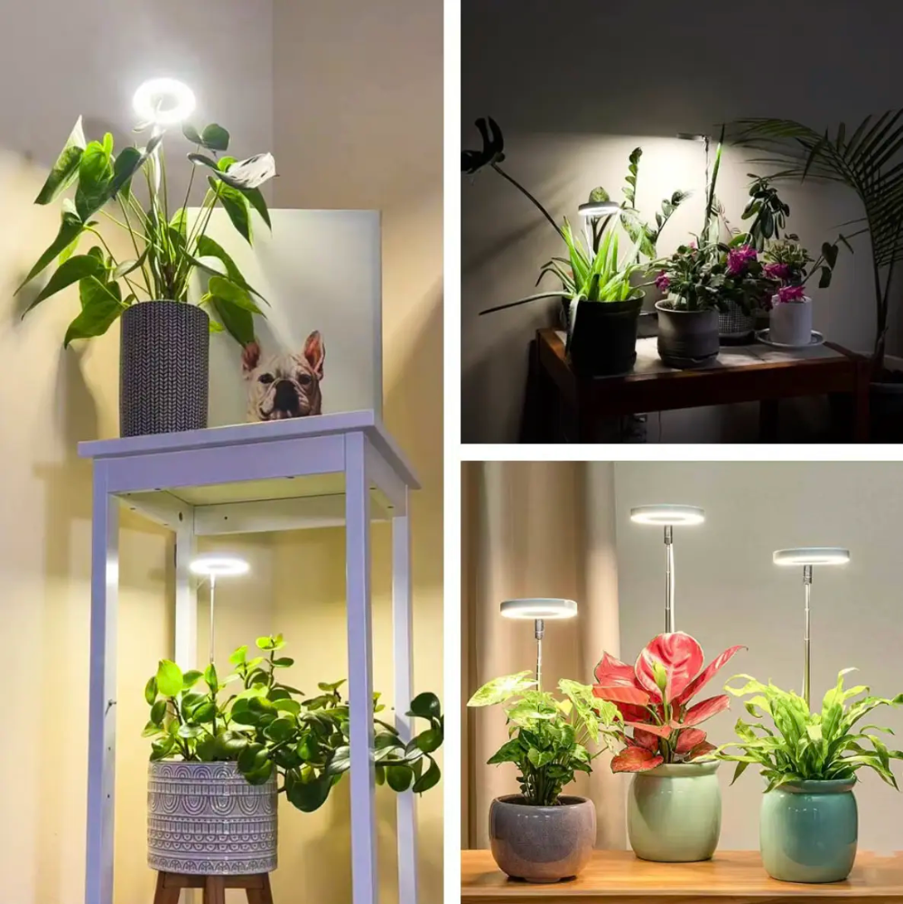 Ledsen™ PlantLamp: Justerbar Innendørs LED Vekst Lys Plante Lampe