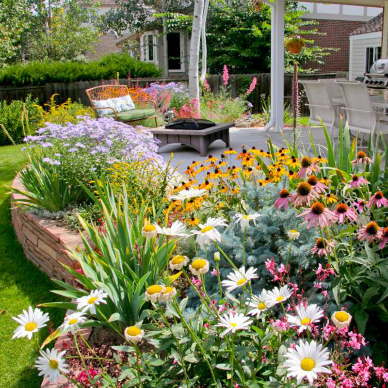 GardenSeeds - Enkle Å Dyrke Blandet Blomsterhage Varieteter Fargerike Blomsterfrø