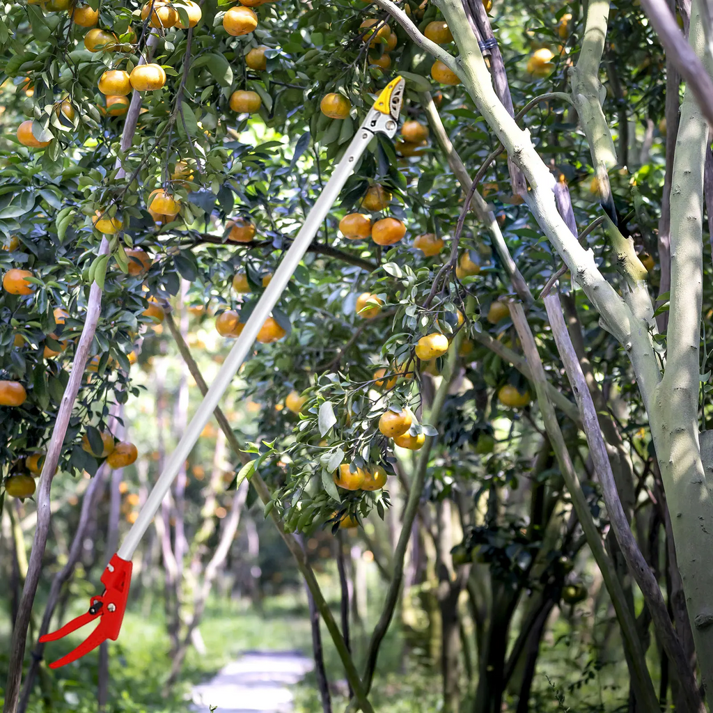 Globetrek° FruitPicker: Lett Holdbar Godt Grep Enkel Å Bruke Fruktplukker Verktøy