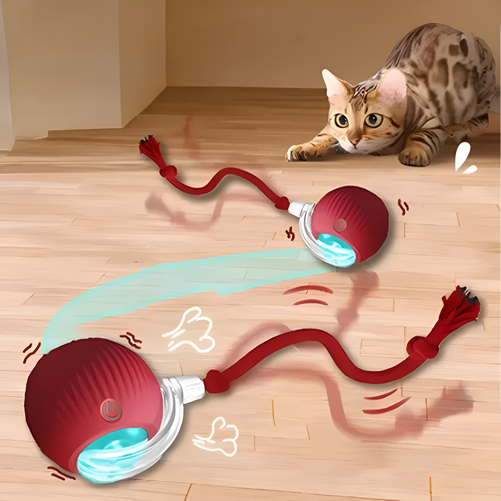Catfri® CatBall: Automatisk Interaktiv Morsom Katt Jager Ball
