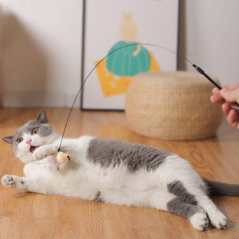 PurrChase Bird Toy – Interaktiv jaktsimulering for katter - NordHjem