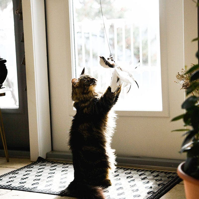 PurrChase Bird Toy – Interaktiv jaktsimulering for katter - NordHjem