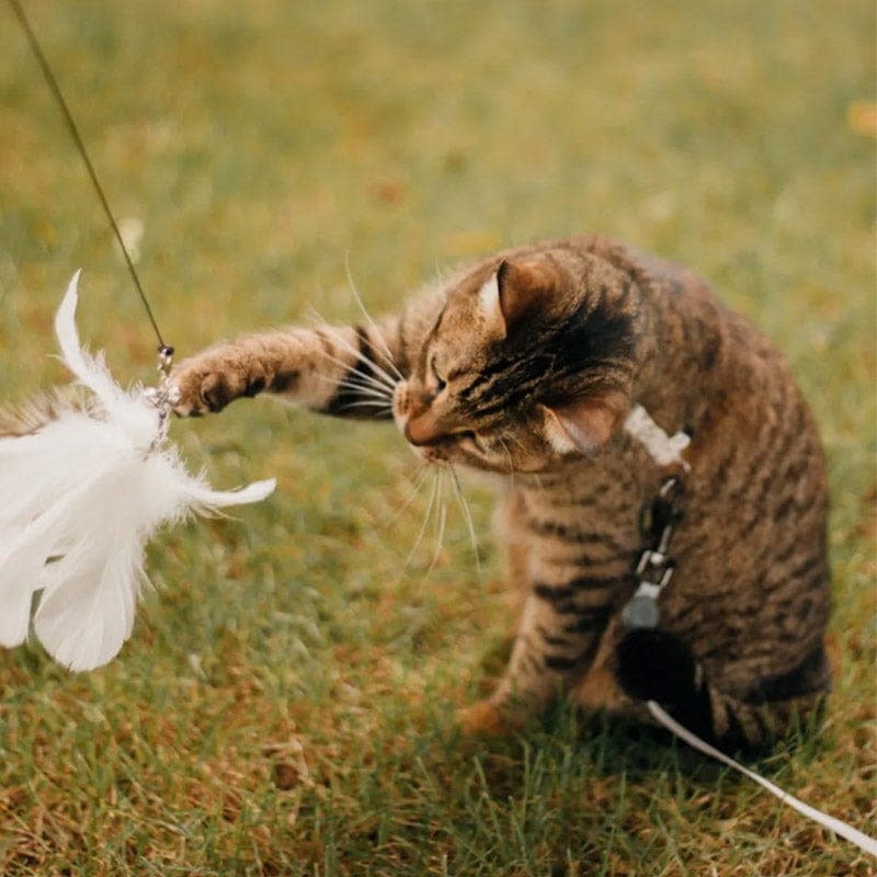 PurrChase Bird Toy – Interaktiv jaktsimulering for katter - NordHjem