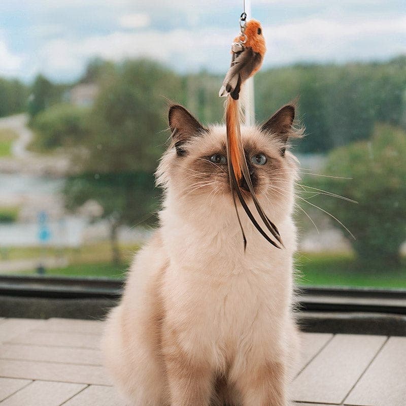 PurrChase Bird Toy – Interaktiv jaktsimulering for katter - NordHjem