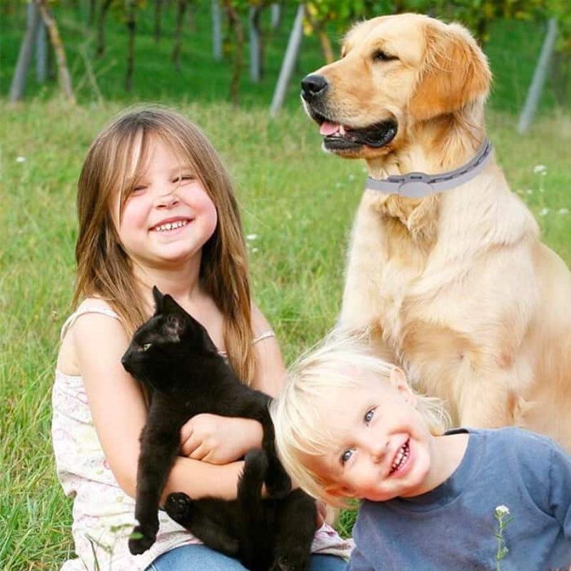 DogCatFri™ PetCollar 1+1 GRATIS - Justerbar Insektmiddel Hundehalsbånd