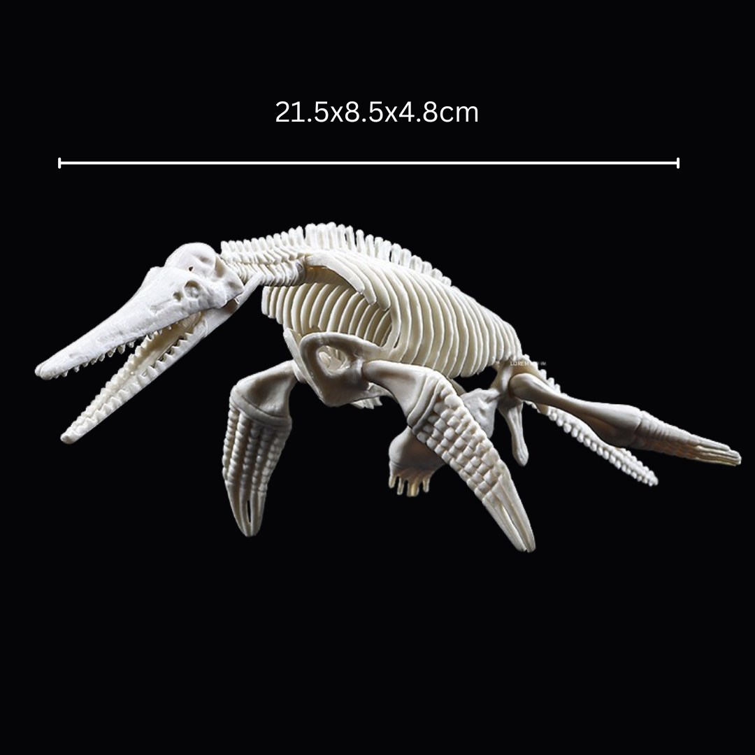 Kletshuts™ SkeletonDinosaur: Lærerikt Skjelett Dinosaur Fossil Grav Sett