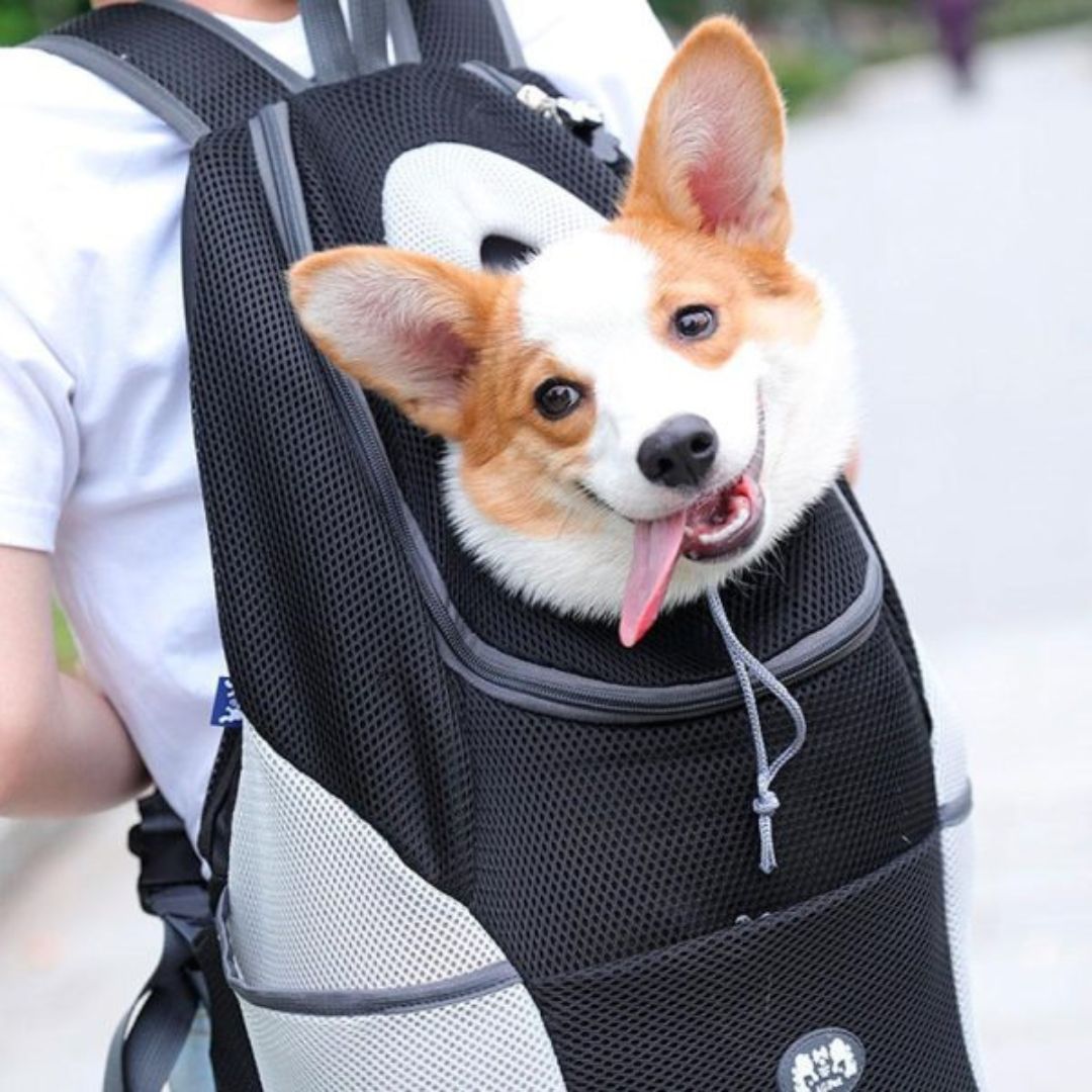 Travelpet™ - NordHjem