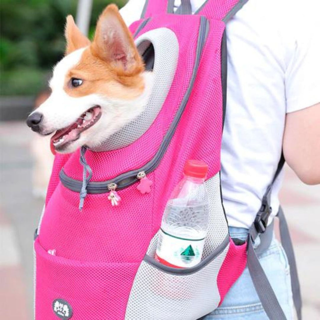 Travelpet™ - NordHjem