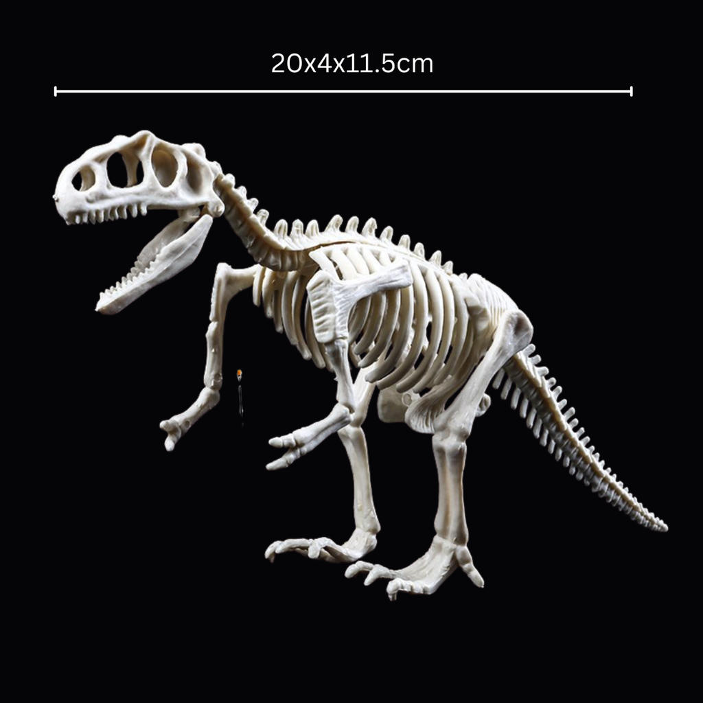 Kletshuts™ SkeletonDinosaur: Lærerikt Skjelett Dinosaur Fossil Grav Sett