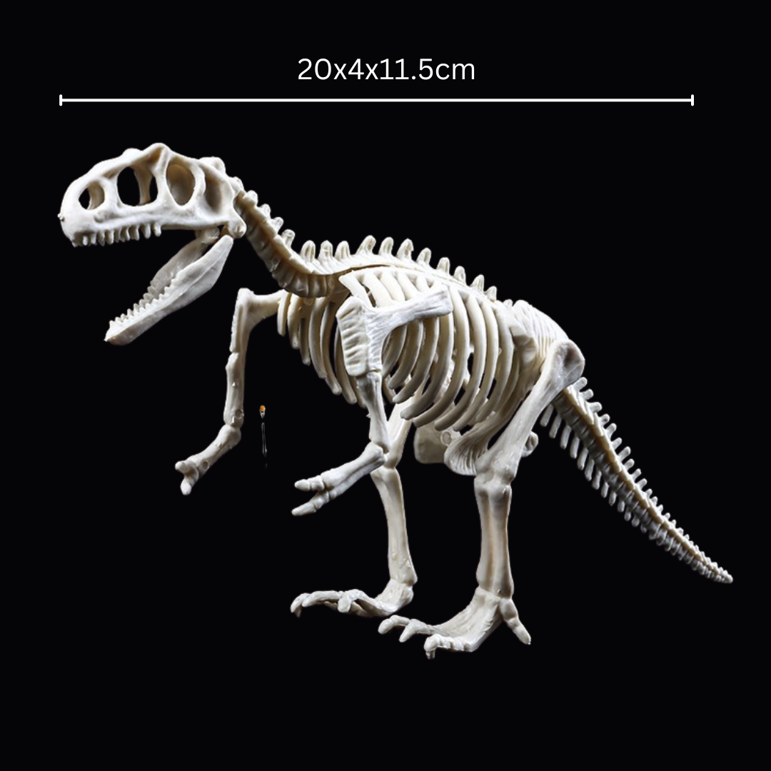 Kletshuts™ SkeletonDinosaur: Lærerikt Skjelett Dinosaur Fossil Grav Sett