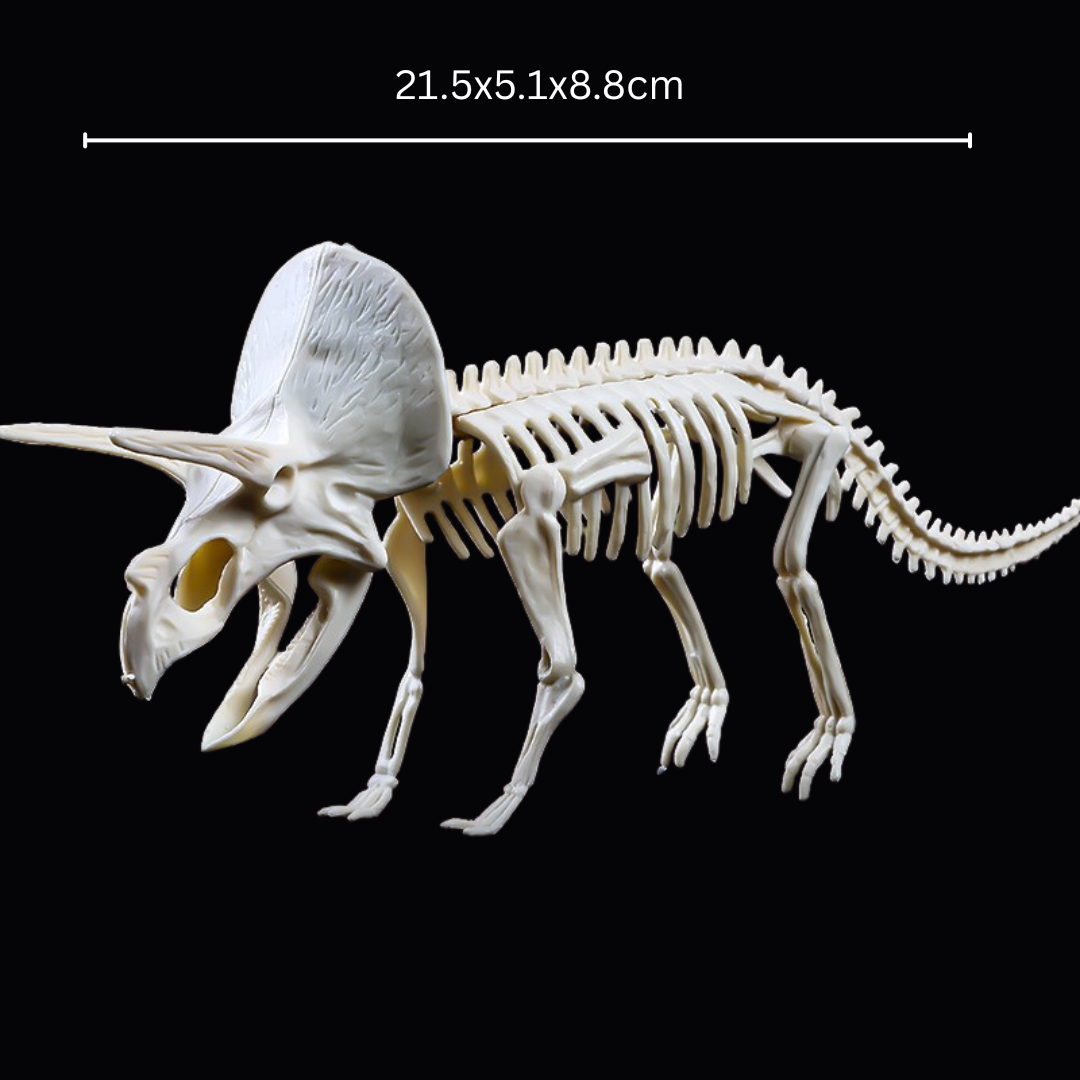 Kletshuts™ SkeletonDinosaur: Lærerikt Skjelett Dinosaur Fossil Grav Sett