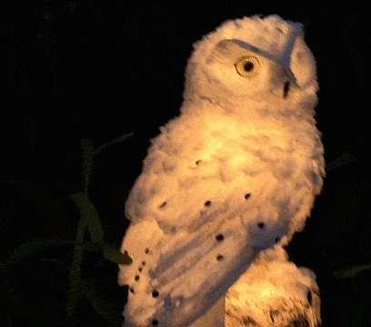 Solcelledrevet Uglehagebelysning – Vanntett & Automatisk LED Utendørsdekor